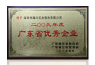 2009年度廣東優(yōu)秀企業(yè)榮譽(yù)
