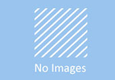 汽車行業(yè)的復(fù)蘇“喚醒” 聚酯纖維新材料應(yīng)用